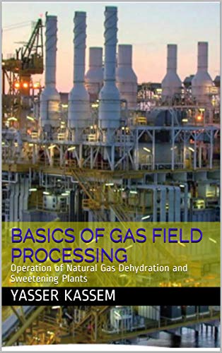 Basics of Gas Field Processing: Operation of Natural Gas Dehydration and Sweetening Plants - Epub + Converted pdf